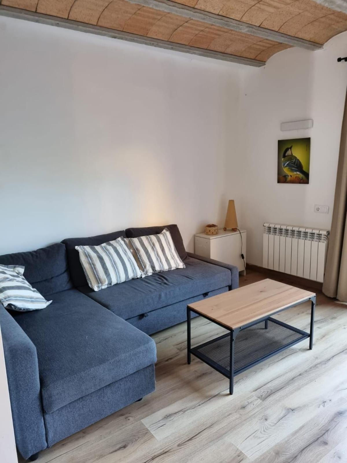 El Niu Dels Ocells Apartman Sant Joan de les Abadesses Kültér fotó