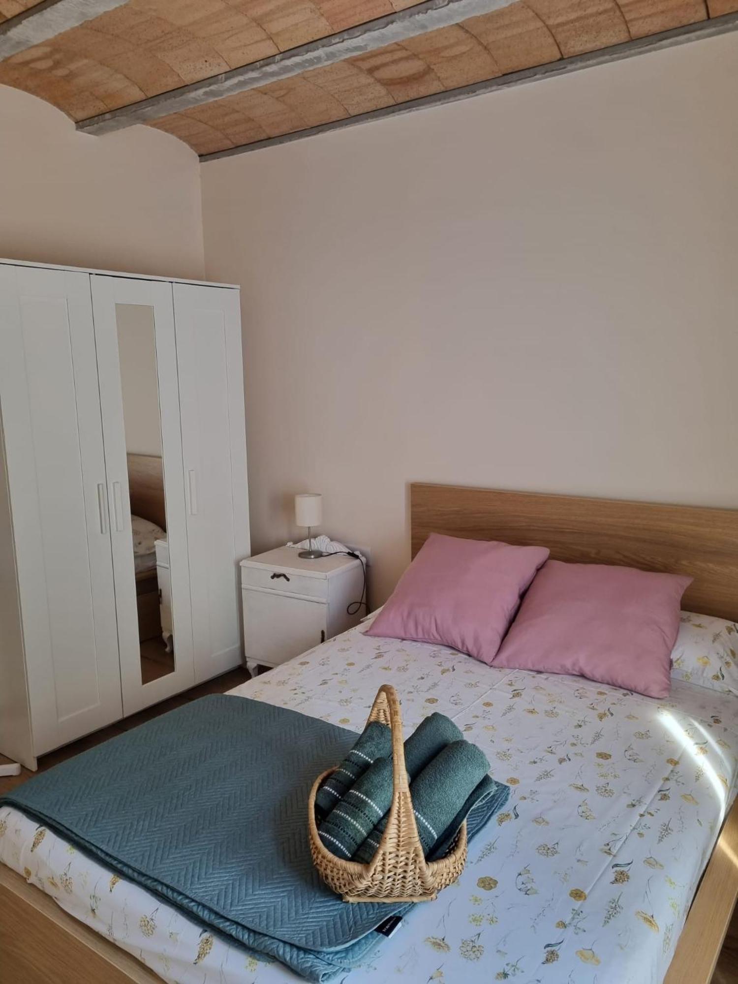 El Niu Dels Ocells Apartman Sant Joan de les Abadesses Kültér fotó