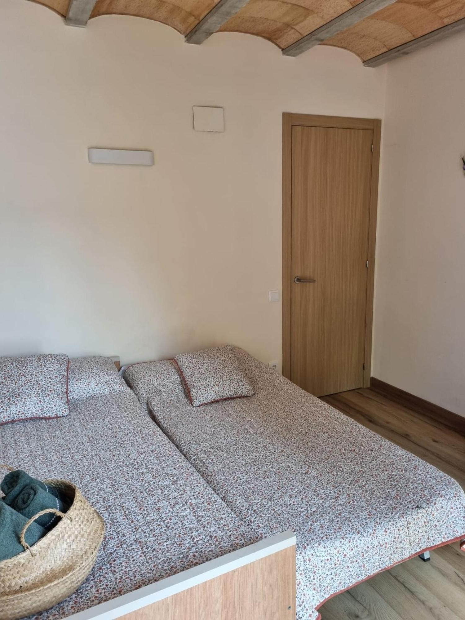 El Niu Dels Ocells Apartman Sant Joan de les Abadesses Kültér fotó